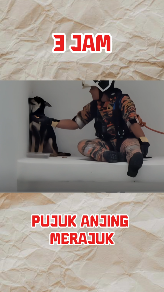 Anjing Merajuk Dekat 3 Jam Pujuk. Kalah Orang Bercinta.